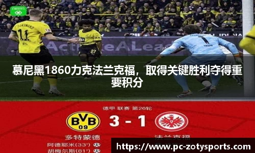 中欧体育