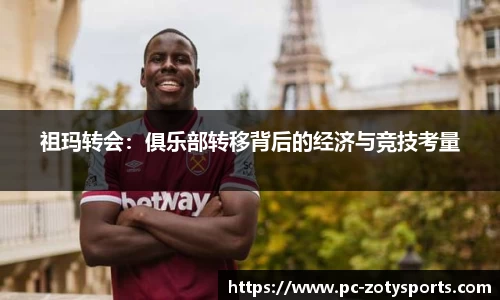 中欧体育公司