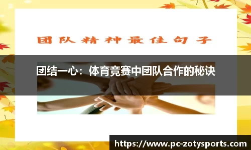 中欧体育