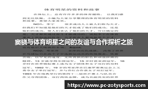 中欧体育公司