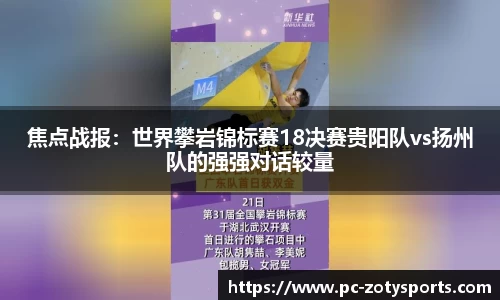 中欧体育公司