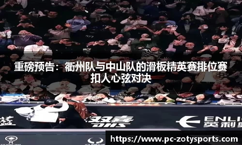 中欧体育公司